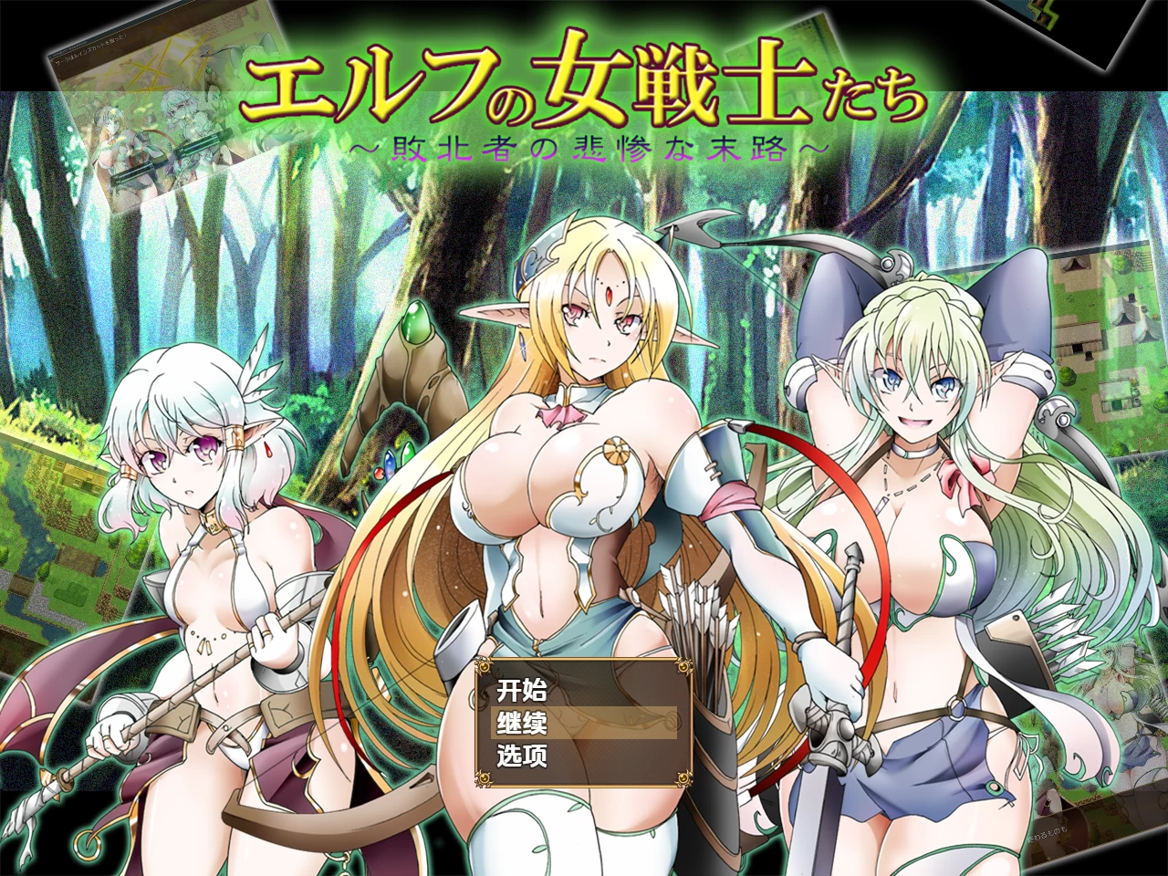 精灵女战士:败者的悲惨命运1.0汉化版【PC+安卓+日式RPG】【624M】