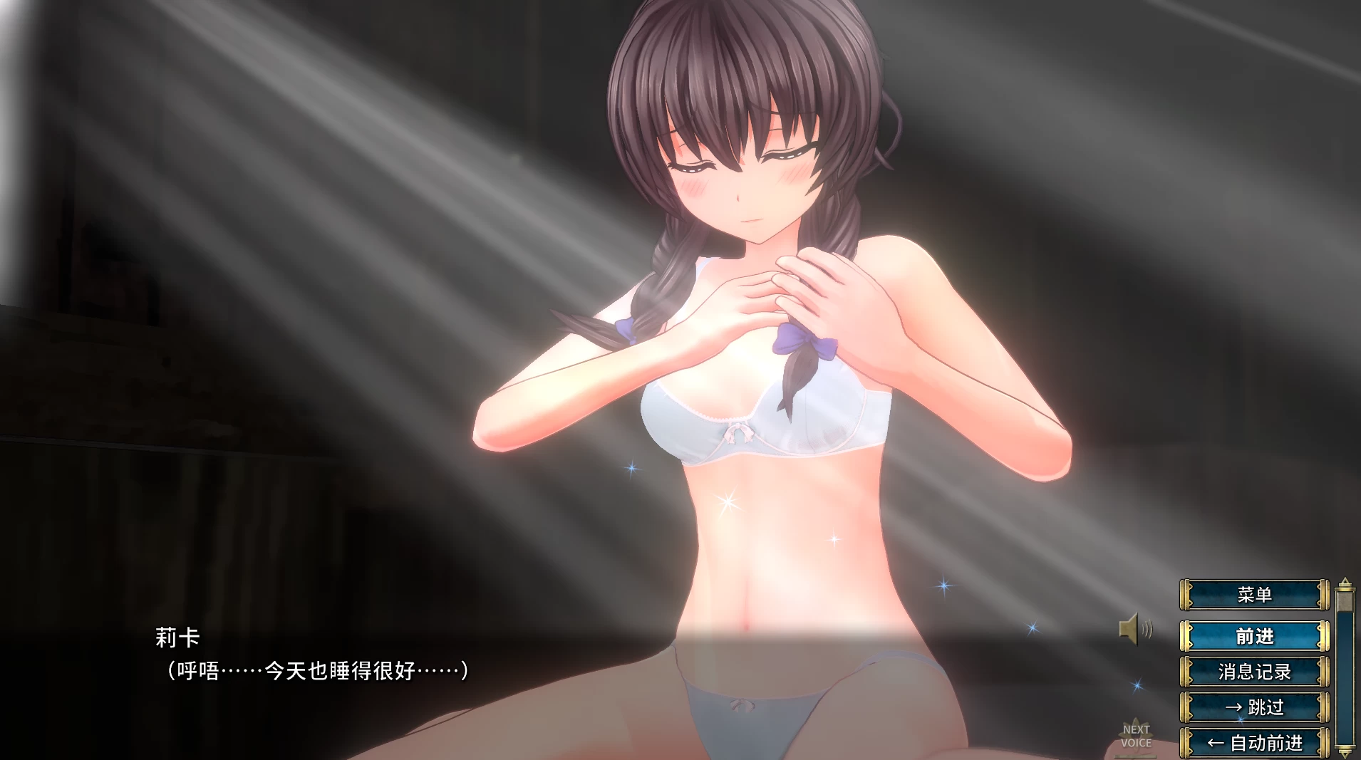 圣骑士莉卡物语1.38汉化版【PC+3D互动神作ACT】/Holy Knight Ricca【4.53G】