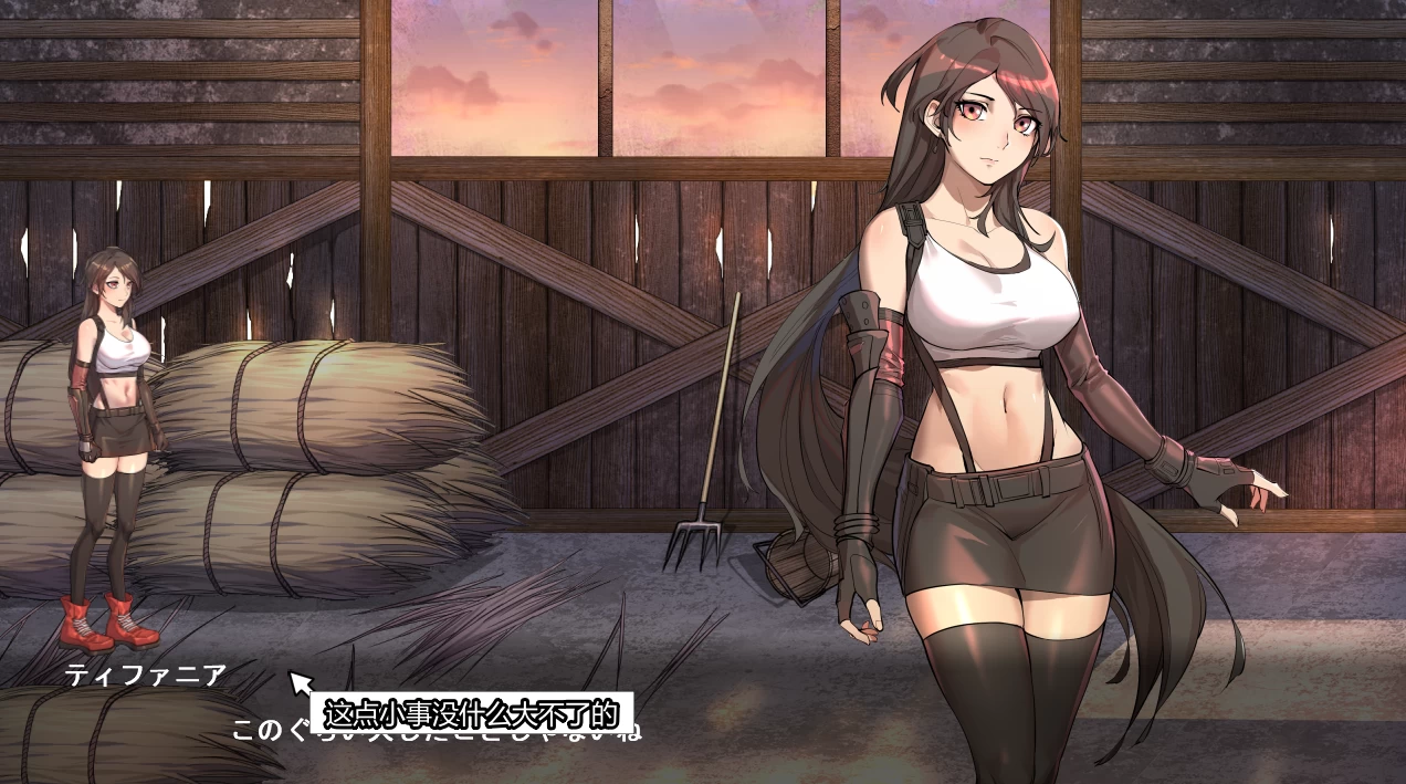 蒂法黑暗幻想EP1+EP2+EP3外挂汉化版【PC+动作ACT/有动画】 Dark Side Fantasy+Dark City Fantasy【2.45G】