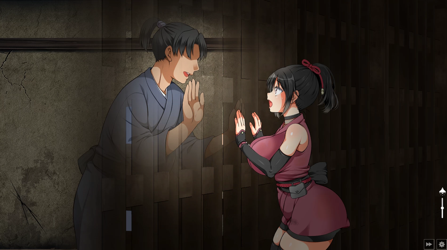 忍堕-女忍调教STEAM官中步兵版【PC+安卓模拟器+互动调教SLG】/【11.3G】【会员点菜】