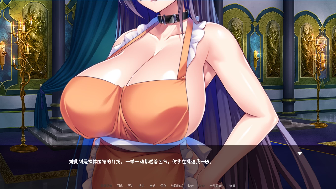 公主骑士在不停高潮中沦陷1.2.7官方中文版【PC+安卓模拟器+日系ADV】/Princess Knight Concedes to Cum【1.3G】