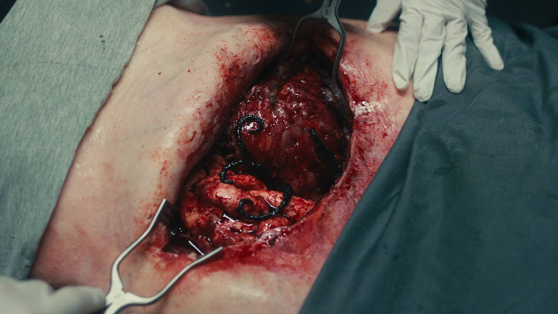 死亡重启/Dead Reset