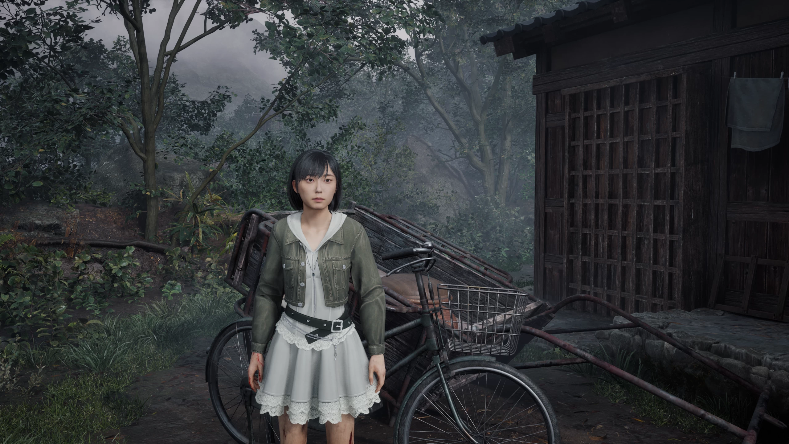 寂静岭F+多款MOD【独家整合最新中文MOD管理器+在线下载N网MOD】/预购豪华版/Silent Hill f Ver1.2.381918 整合包Ver2025.10.9