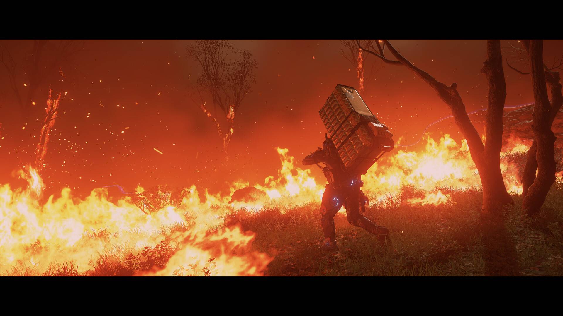 死亡搁浅2：冥滩之上/DEATH STRANDING 2: ON THE BEACH