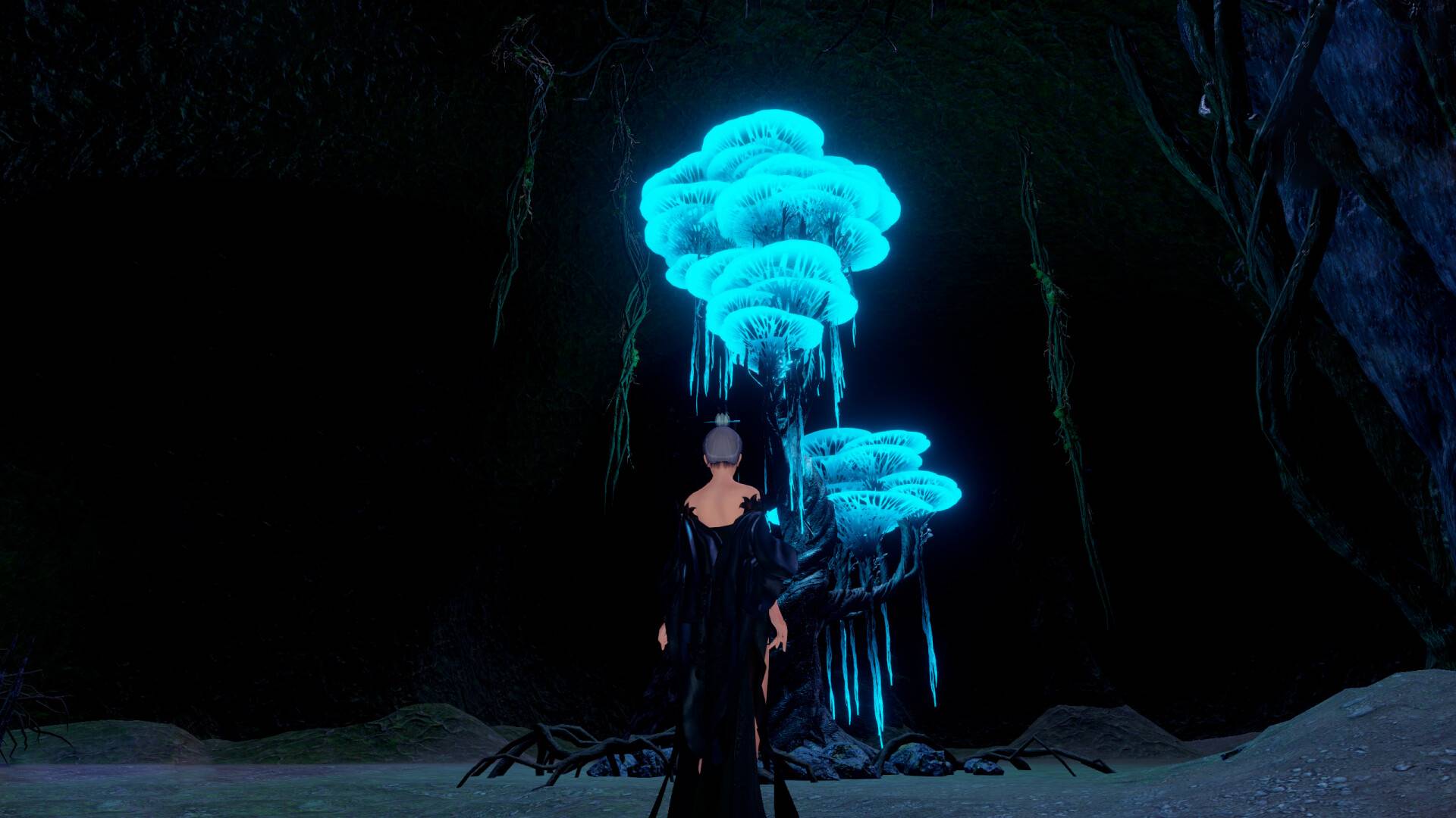 轮回修仙路/Lunhuixiuxianlu