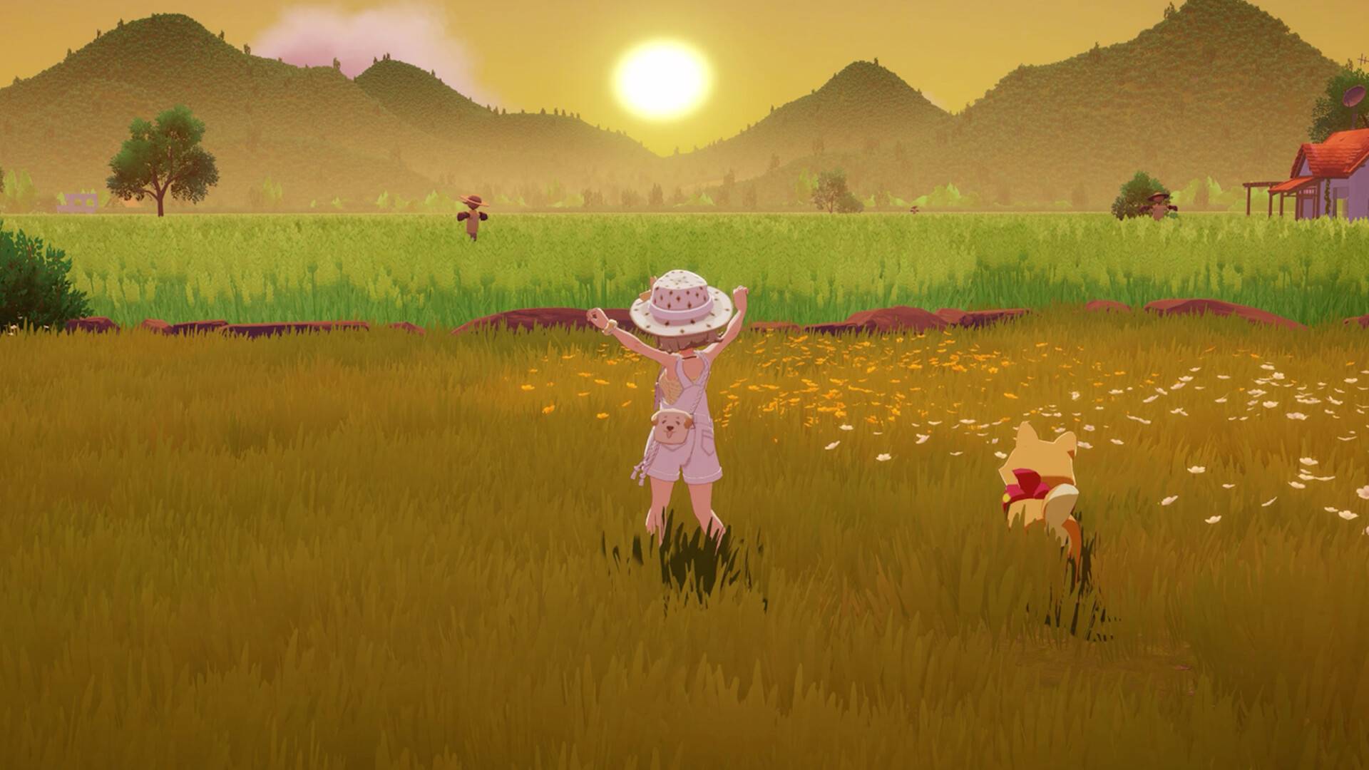 星砂岛/Starsand Island
