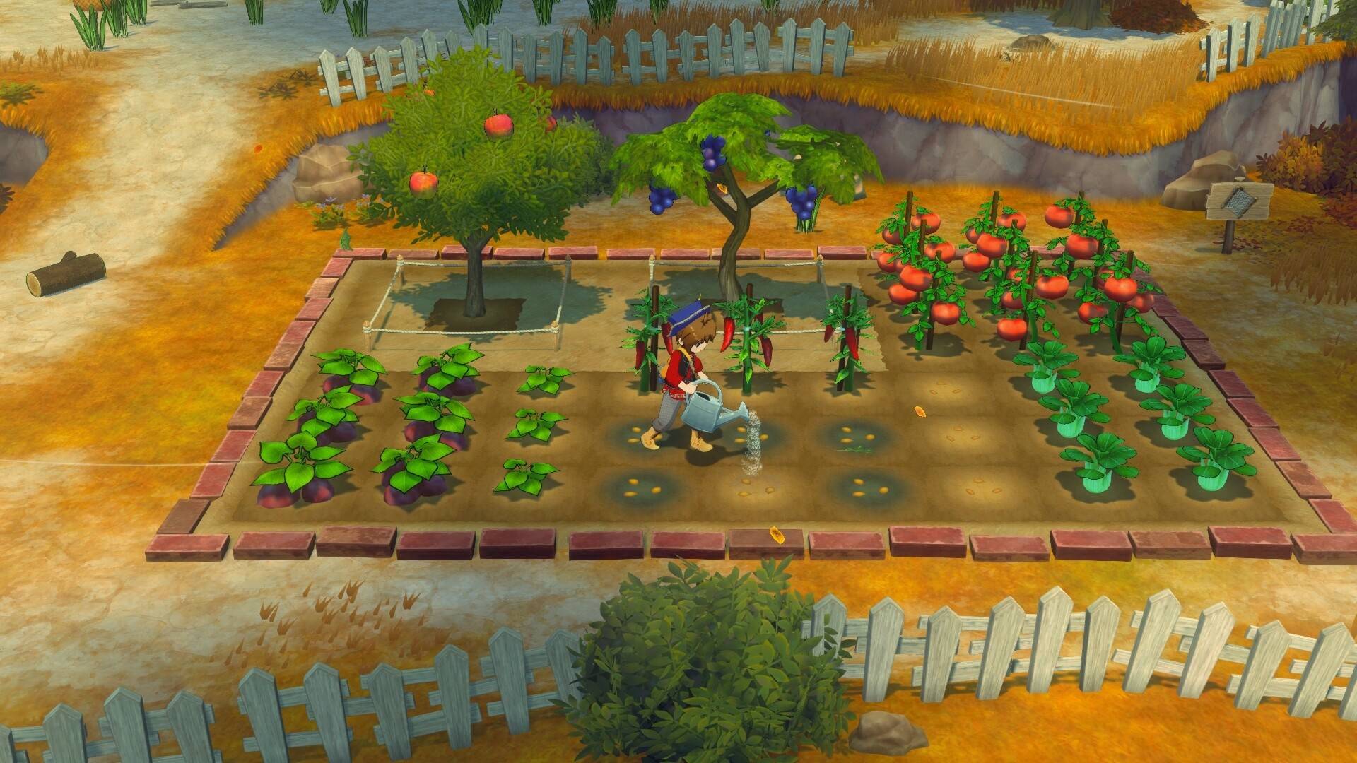牧场物语 来吧!风之繁华集市/STORY OF SEASONS: Grand Bazaar