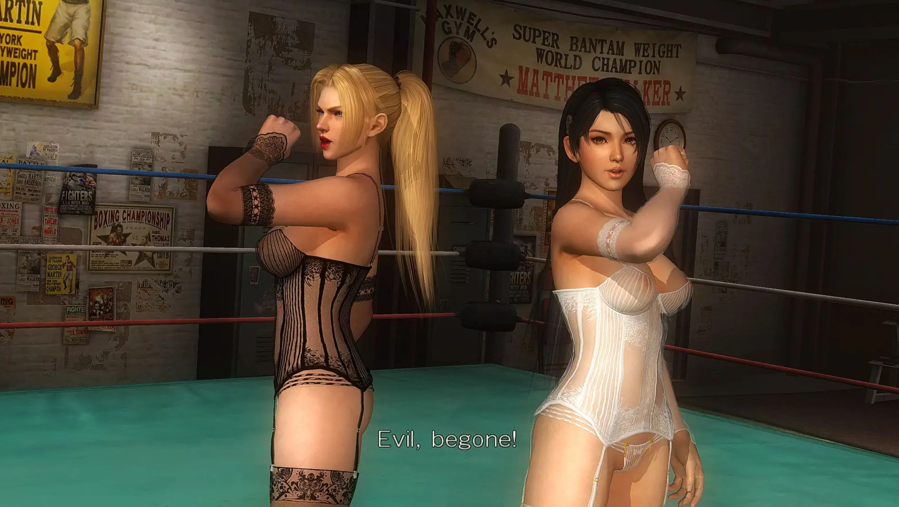 死或生5最后一战1.10C豪华整合版+ 上万MOD（含清凉）+存档/Dead or Alive 5：Last Round【180G】